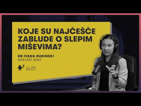 koje su najcesce zablude o slepim misevima 676b4e96cbe04