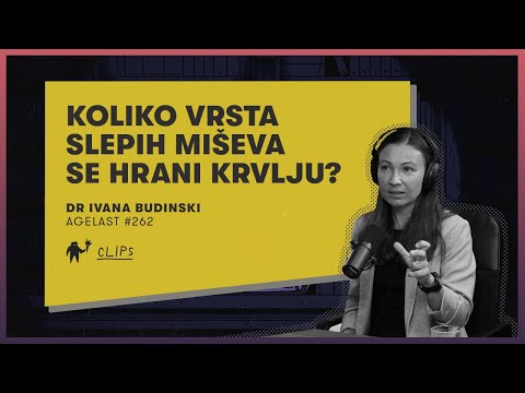 koliko vrsta slepih miseva se hrani krvlju 676ca012bfb8f